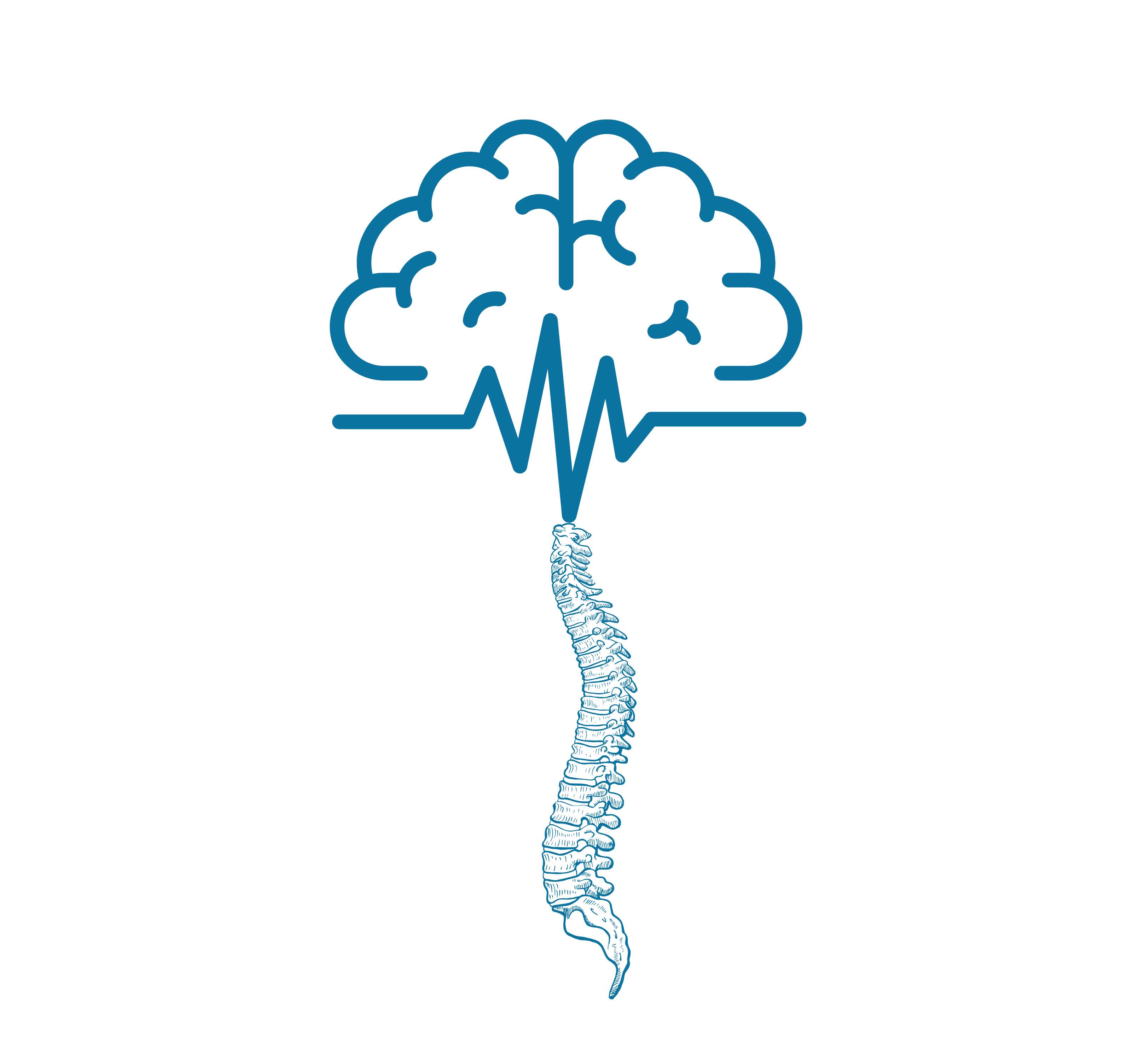 Neuro & Spine Surgery